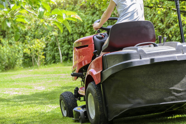 hedge trimming bushes
